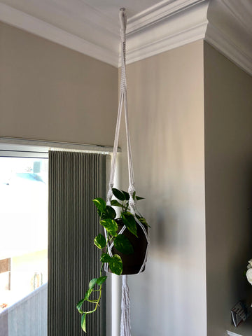 Colleen hanger